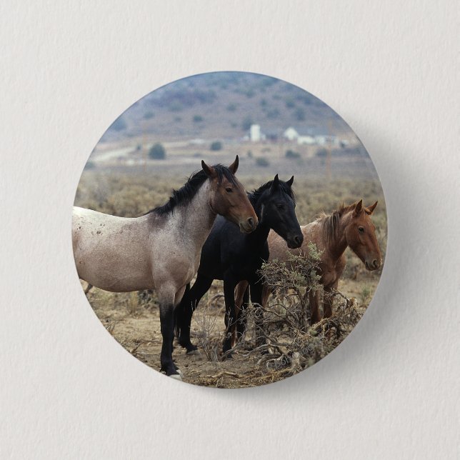 Badge Rond 5 Cm Chevaux sauvages 5 de mustang (Devant)