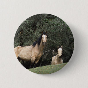 Badge Rond 5 Cm Chevaux sauvages 6 de mustang