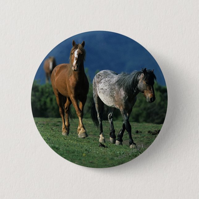 Badge Rond 5 Cm Chevaux sauvages de mustang (Devant)