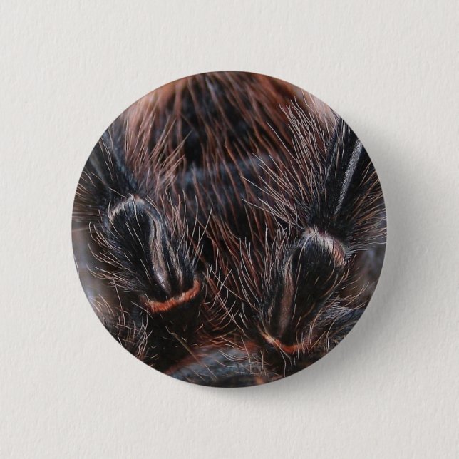Badge Rond 5 Cm cheveux d'araignée (Devant)