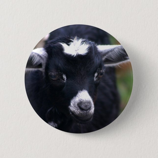 Badge Rond 5 Cm Chèvre de bébé (Devant)
