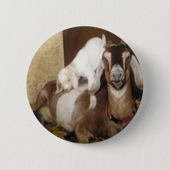 Badge Rond 5 Cm Chèvre de mamans et de bébé (Devant)