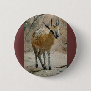 Badge Rond 5 Cm Chèvres sauvages