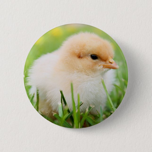 Badge Rond 5 Cm Chick (Devant)