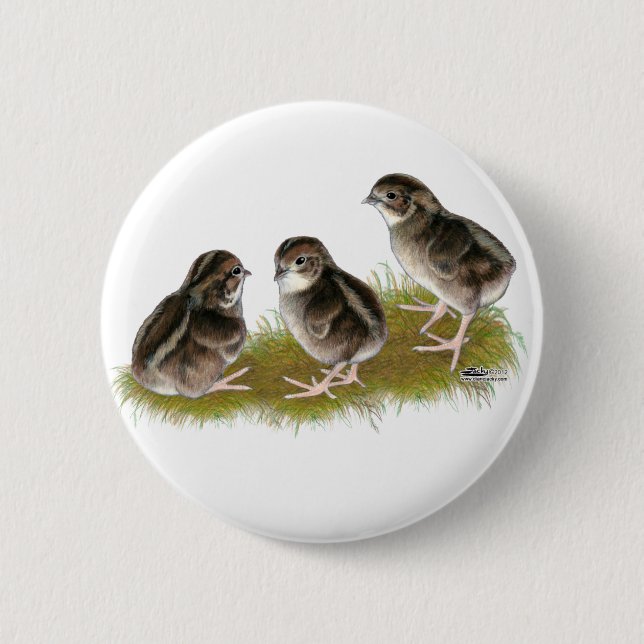 Badge Rond 5 Cm Chicks de Coturnix (Devant)