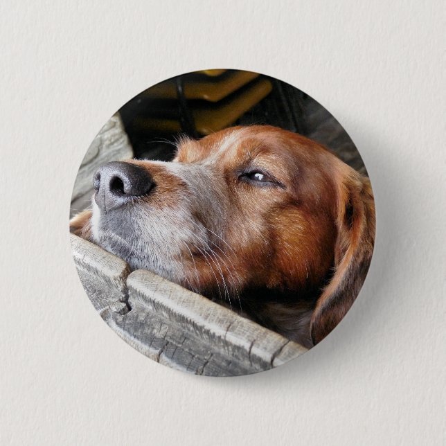 BADGE ROND 5 CM CHIEN (Devant)