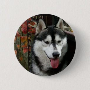 Badge Rond 5 Cm Chien 3 de Malamute d'Alaska