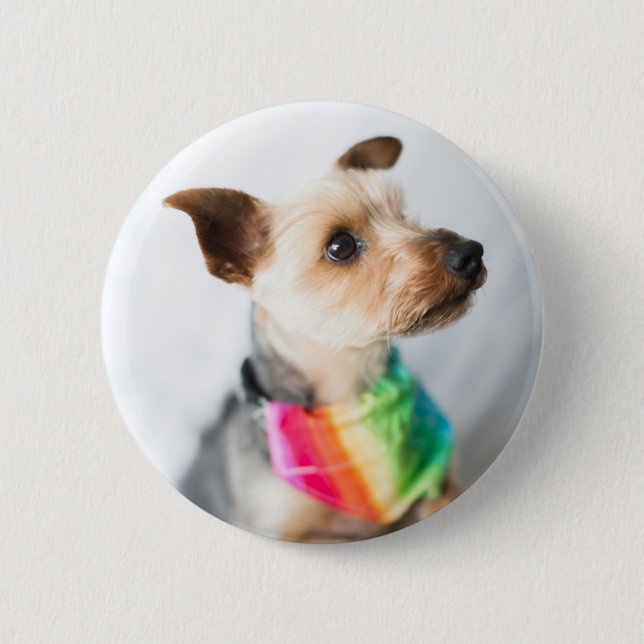 Badge Rond 5 Cm Chien arc-en-ciel gay pride | Yorkshire Terrier (Devant)