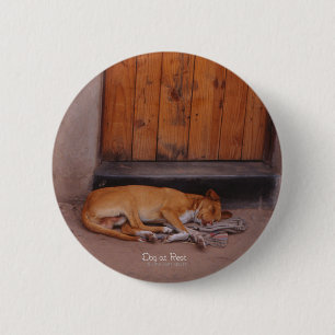 Badge Rond 5 Cm Chien au repos