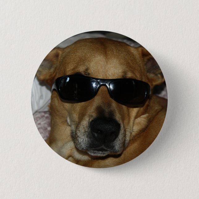 Badge Rond 5 Cm Chien avec des lunettes de soleil (Devant)