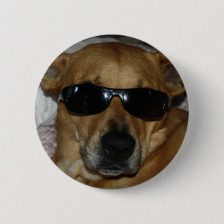 Badge Rond 5 Cm Chien avec des lunettes de soleil