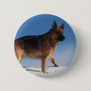 Badge Rond 5 Cm Chien berger allemand sain et heureux