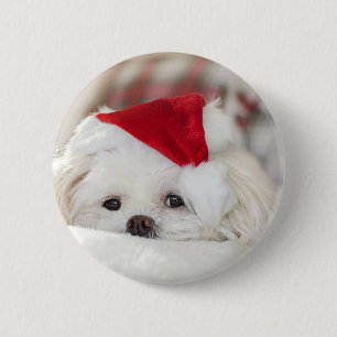 Badge Rond 5 Cm Chien Blanc Mignon dans un Chapeau de Noël Rouge