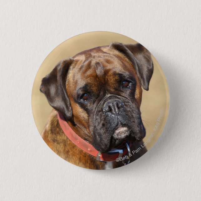 Badge Rond 5 Cm Chien Brindle de boxeur (Devant)