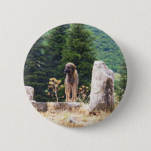 Badge Rond 5 Cm Chien de berger anatolien - Ephesus, Turquie