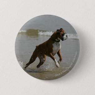 Badge Rond 5 Cm Chien de boxeur dans l'eau