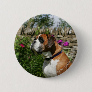 Badge Rond 5 Cm Chien de boxeur en fleurs