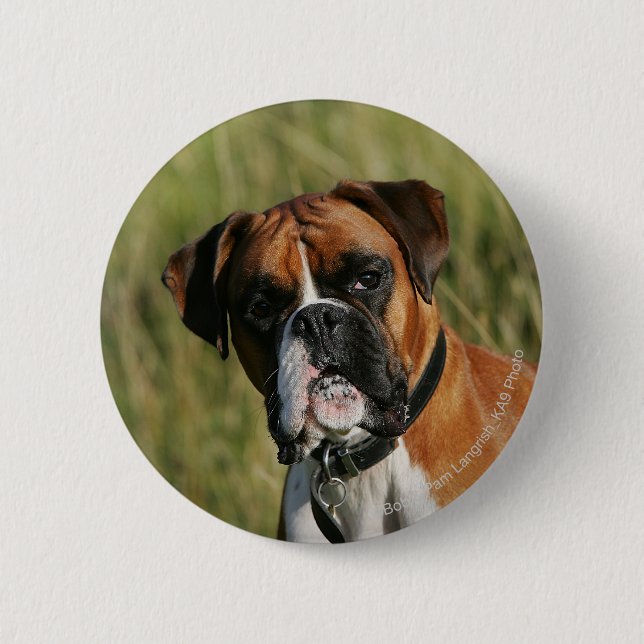 Badge Rond 5 Cm Chien de boxeur regardant fixement (Devant)