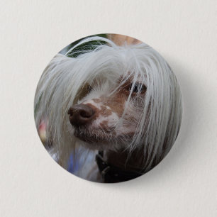 Badge Rond 5 Cm Chien de Chine arrêté