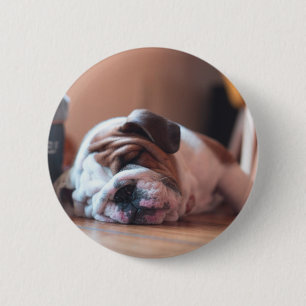 Badge Rond 5 Cm Chien de garde et Chien blanc