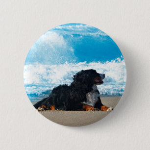 Badge Rond 5 Cm Chien de montagne bernois sur la plage