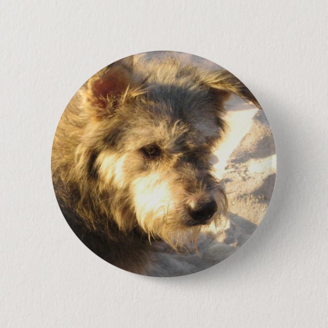 Badge Rond 5 Cm Chien de plage thaïlandais (Devant)