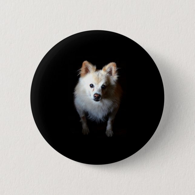 Badge Rond 5 Cm Chien de Poméranie en noir (Devant)