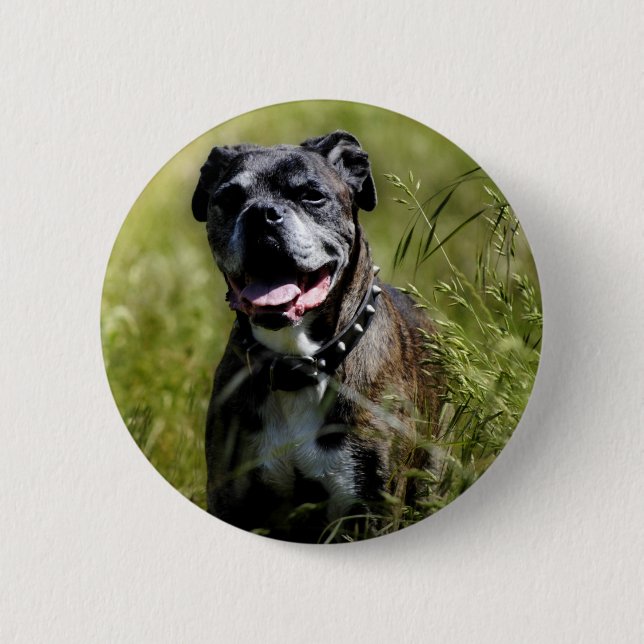 Badge Rond 5 Cm Chien mignon dans l'herbe (Devant)