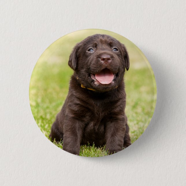 Badge Rond 5 Cm Chien mou de chiot (Devant)