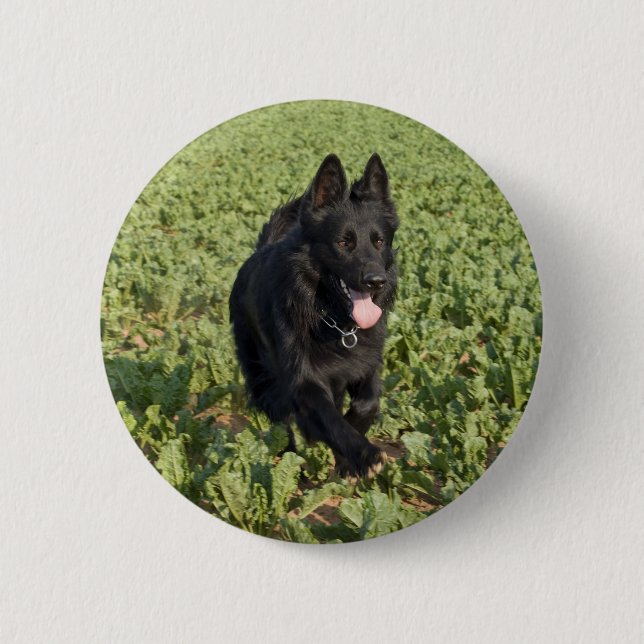 Badge Rond 5 Cm Chien noir (Devant)