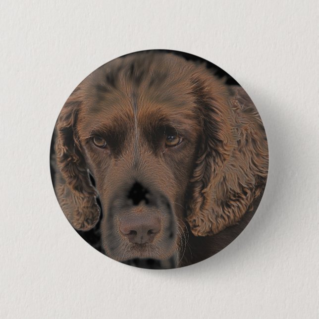 Badge Rond 5 Cm Chiens Springer Anglais (Devant)