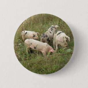 Badge Rond 5 Cm Chiffres dans un bouton de champ