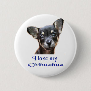 Badge Rond 5 Cm Chihuahua