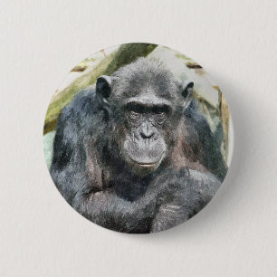 BADGE ROND 5 CM CHIMPANZÉS