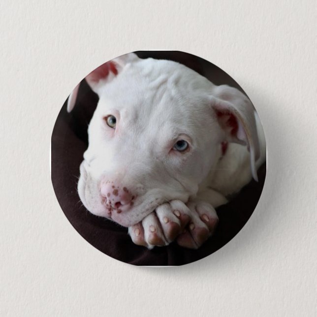 Badge Rond 5 Cm Chiot (Devant)