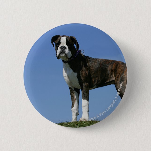 Badge Rond 5 Cm Chiot de boxeur de bébé de 3 mois (Devant)
