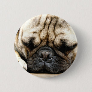 Badge Rond 5 Cm Chiot de carlin