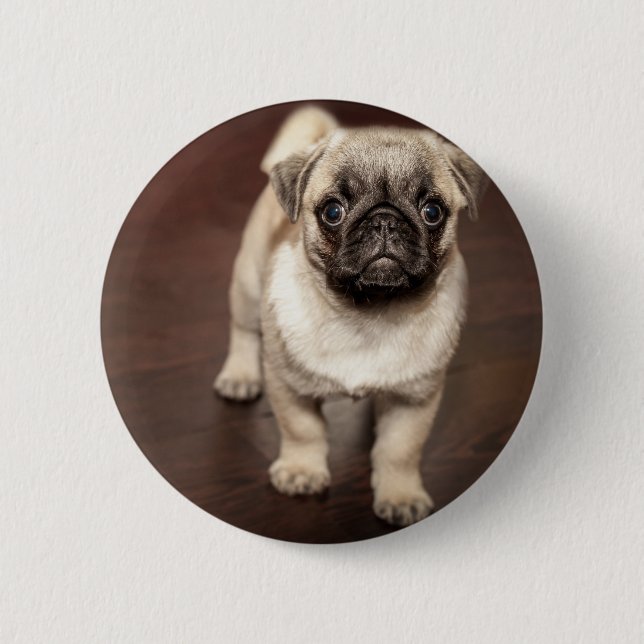 Badge Rond 5 Cm Chiot de carlin (Devant)