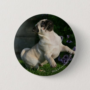 Badge Rond 5 Cm Chiot de carlin de faon