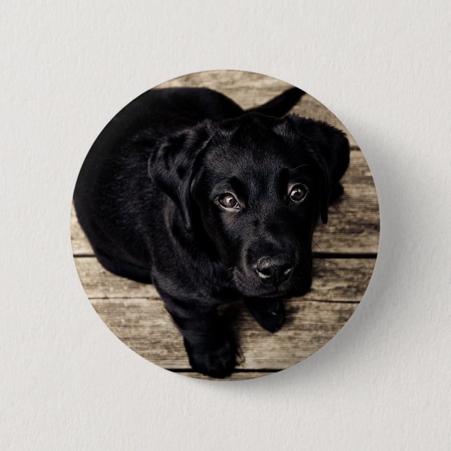 Badge Rond 5 Cm chiot de laboratoire (Devant)