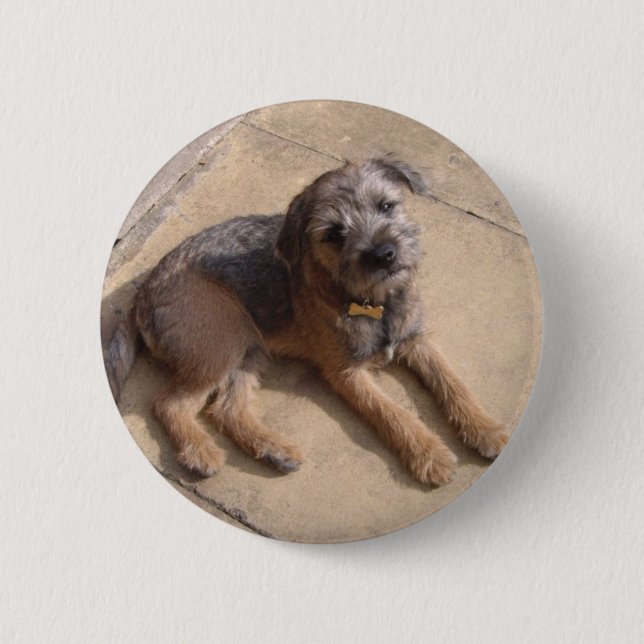 Badge Rond 5 Cm Chiot de Terrier de frontière (Devant)