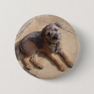 Badge Rond 5 Cm Chiot de Terrier de frontière