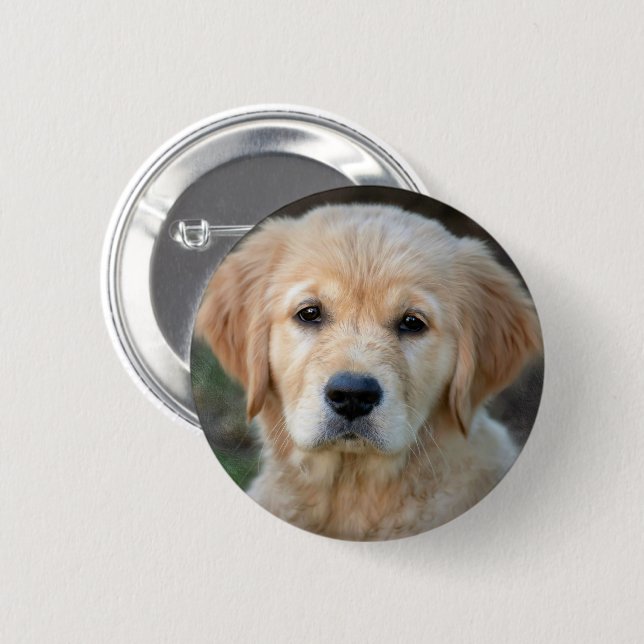 Badge Rond 5 Cm Chiot Golden Retriever (Devant & derrière)
