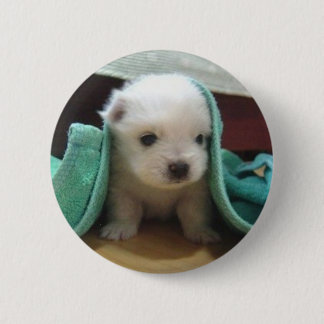 Badge Rond 5 Cm chiot maltais