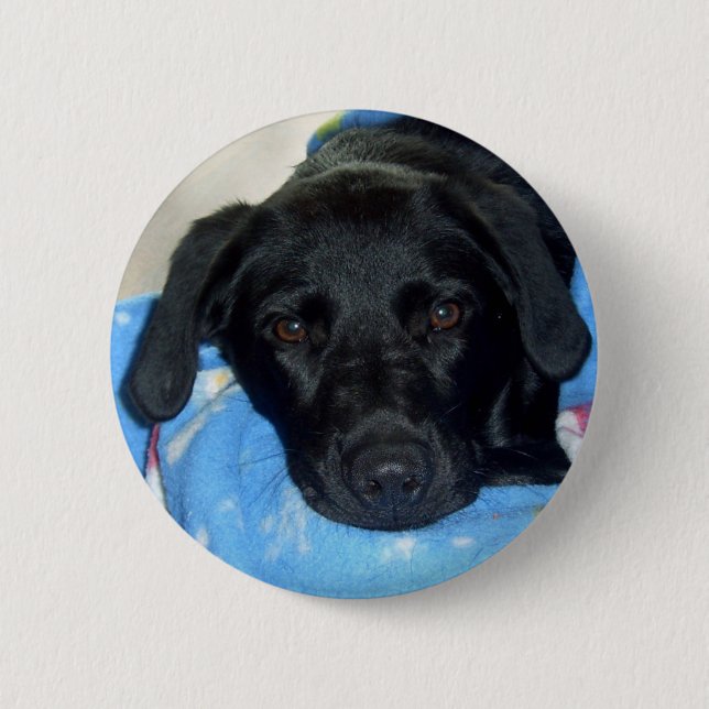 Badge Rond 5 Cm Chiot noir de laboratoire (Devant)