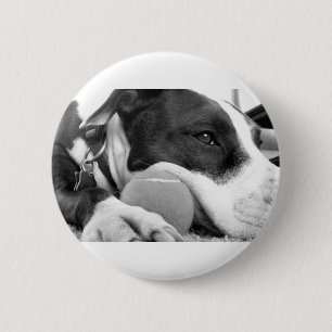 Badge Rond 5 Cm chiot pitbull mignon et triste de couleur noir et 