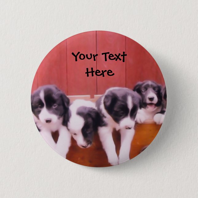 Badge Rond 5 Cm Chiots de border collie dans le bouton de tiroir (Devant)