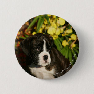 Badge Rond 5 Cm Chiots de boxeur