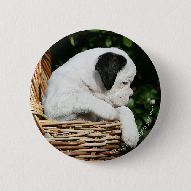 Badge Rond 5 Cm Chiots de boxeur dans le panier (Devant)