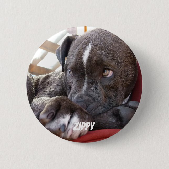 Badge Rond 5 Cm Chiots Editable de Pitbull de bébé (Devant)